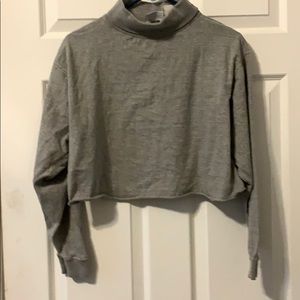 Cropped long sleeve turtle neck